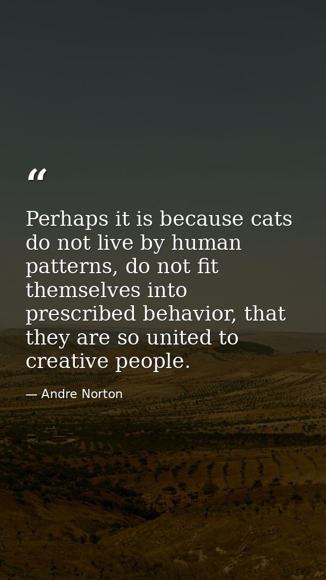 Perhaps it is because cats do not live by human patterns, do not fit themselves into prescribed behavior, that they are  — Andre Norton