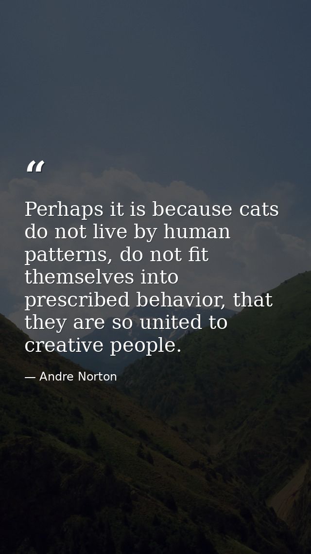 Perhaps it is because cats do not live by human patterns, do not fit themselves into prescribed behavior, that they are  — Andre Norton
