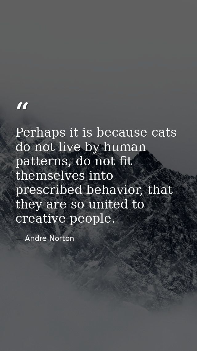 Perhaps it is because cats do not live by human patterns, do not fit themselves into prescribed behavior, that they are  — Andre Norton