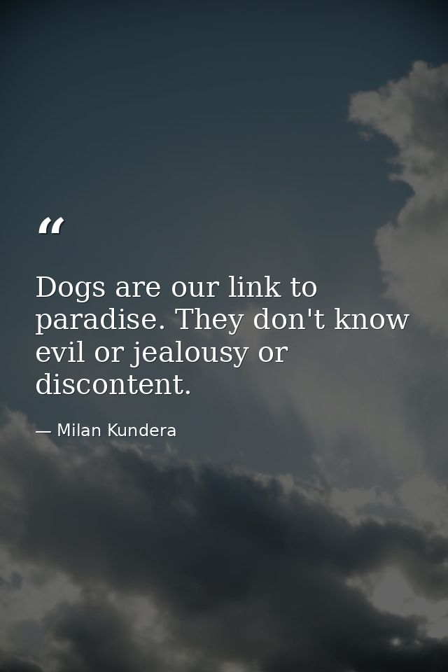 Dogs are our link to paradise. They don't know evil or jealousy or discontent. — Milan Kundera