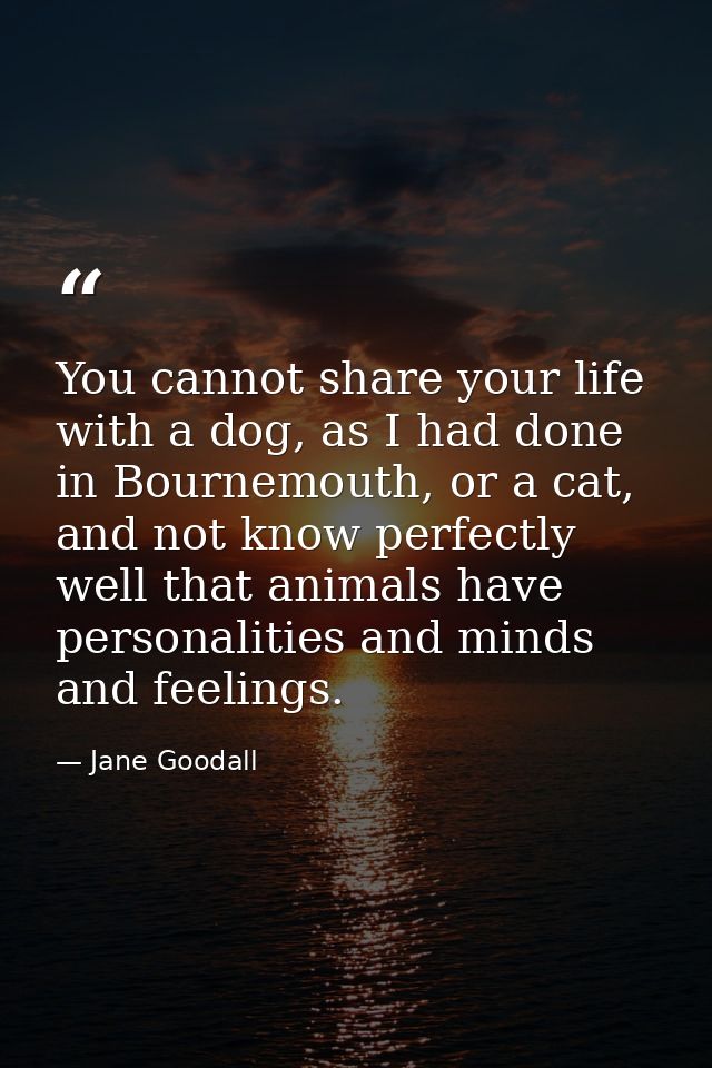 You cannot share your life with a dog, as I had done in Bournemouth, or a cat, and not know perfectly well that animals  — Jane Goodall
