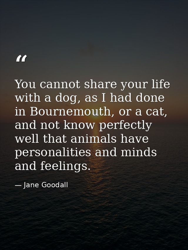 You cannot share your life with a dog, as I had done in Bournemouth, or a cat, and not know perfectly well that animals  — Jane Goodall