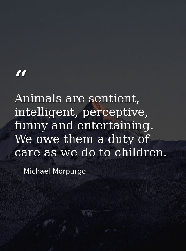 Animals are sentient, intelligent, perceptive, funny and entertaining. We owe them a duty of care as we do to children. — Michael Morpurgo