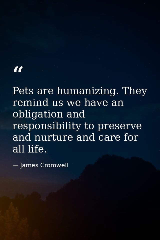Pets are humanizing. They remind us we have an obligation and responsibility to preserve and nurture and care for all li — James Cromwell
