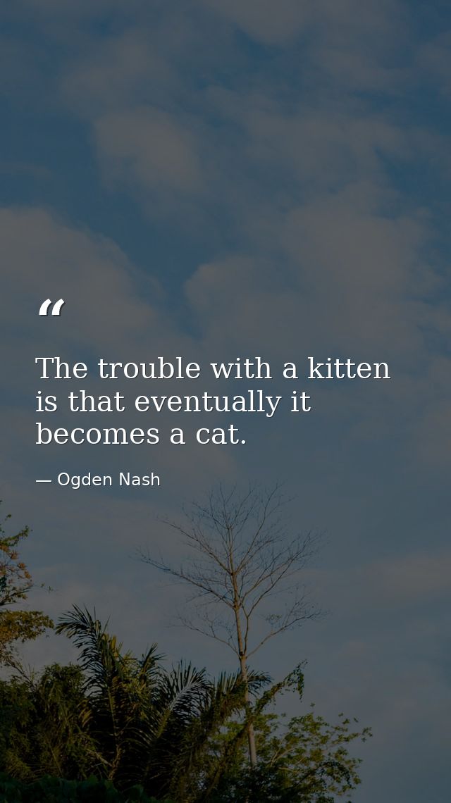 The trouble with a kitten is that eventually it becomes a cat. — Ogden Nash