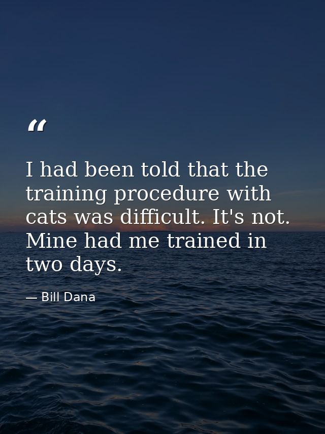 I had been told that the training procedure with cats was difficult. It's not. Mine had me trained in two days. — Bill Dana