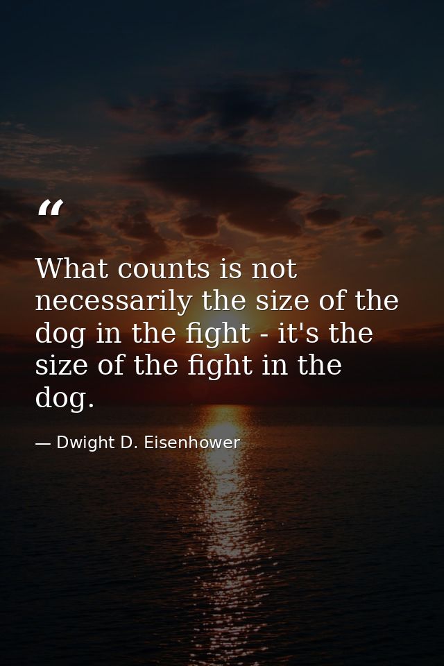 What counts is not necessarily the size of the dog in the fight - it's the size of the fight in the dog. — Dwight D. Eisenhower