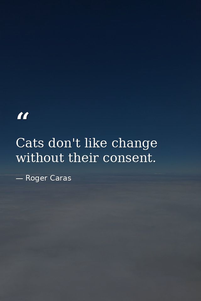 Cats don't like change without their consent. — Roger Caras