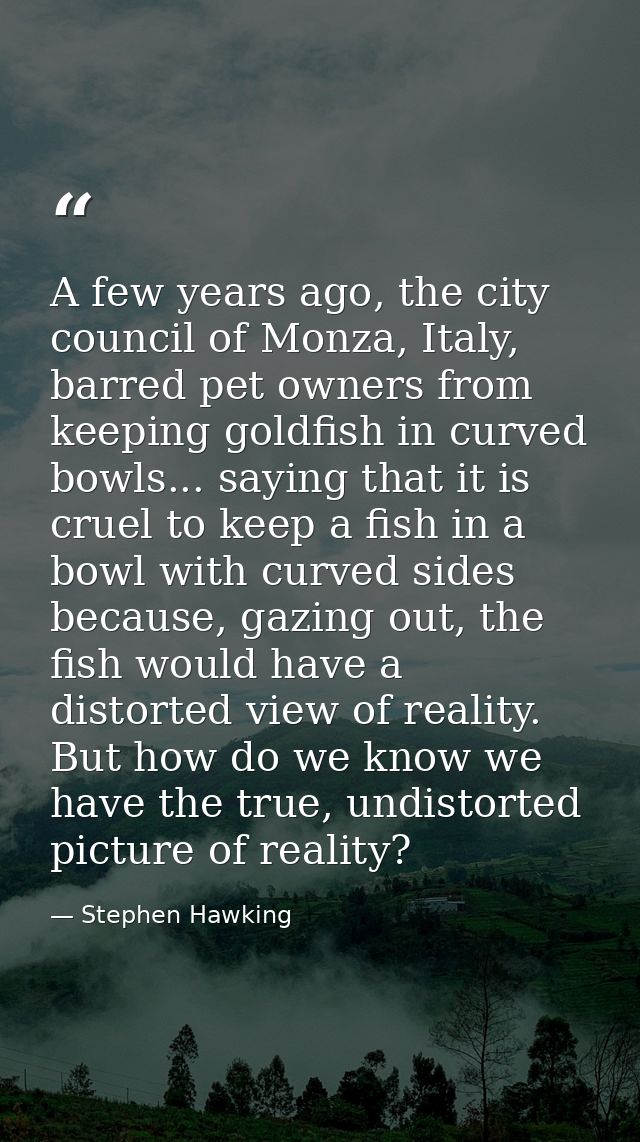A few years ago, the city council of Monza, Italy, barred pet owners from keeping goldfish in curved bowls... saying tha — Stephen Hawking
