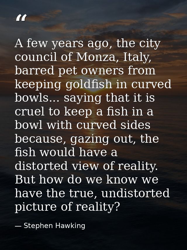 A few years ago, the city council of Monza, Italy, barred pet owners from keeping goldfish in curved bowls... saying tha — Stephen Hawking