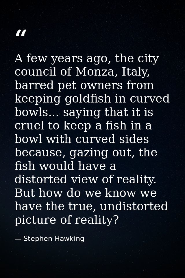 A few years ago, the city council of Monza, Italy, barred pet owners from keeping goldfish in curved bowls... saying tha — Stephen Hawking