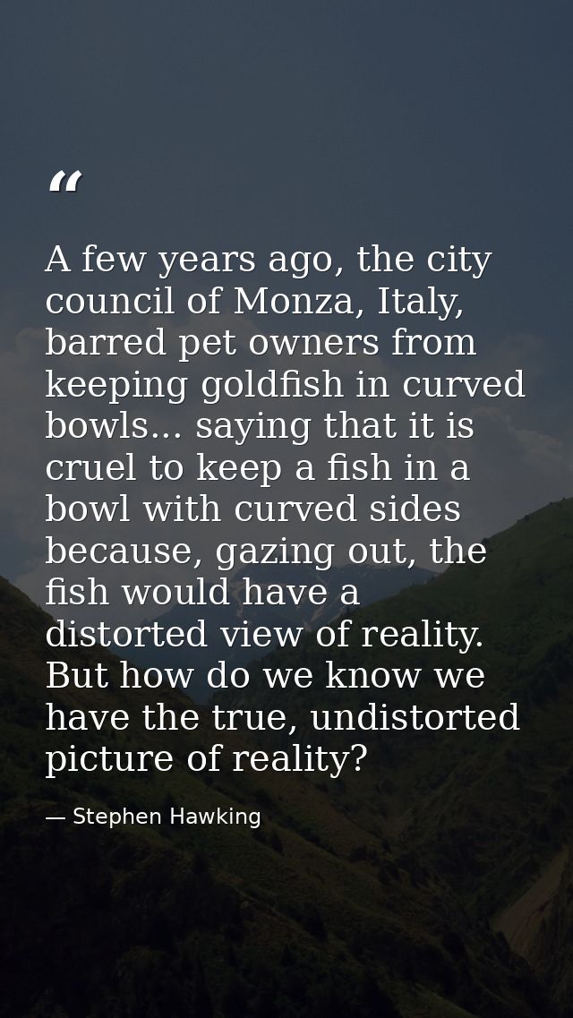 A few years ago, the city council of Monza, Italy, barred pet owners from keeping goldfish in curved bowls... saying tha — Stephen Hawking