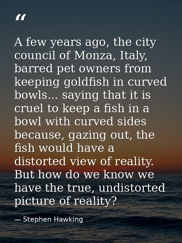 A few years ago, the city council of Monza, Italy, barred pet owners from keeping goldfish in curved bowls... saying tha — Stephen Hawking
