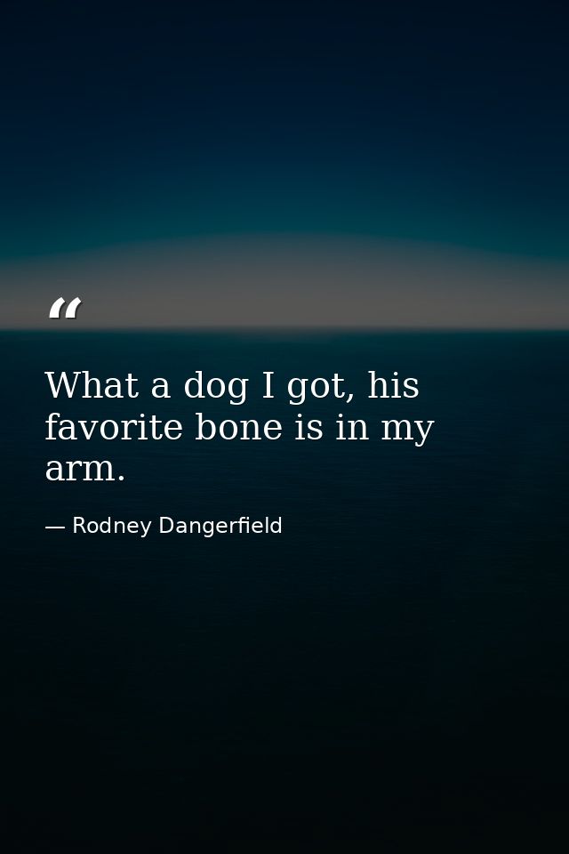 What a dog I got, his favorite bone is in my arm. — Rodney Dangerfield