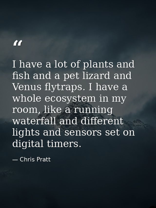 I have a lot of plants and fish and a pet lizard and Venus flytraps. I have a whole ecosystem in my room, like a running — Chris Pratt