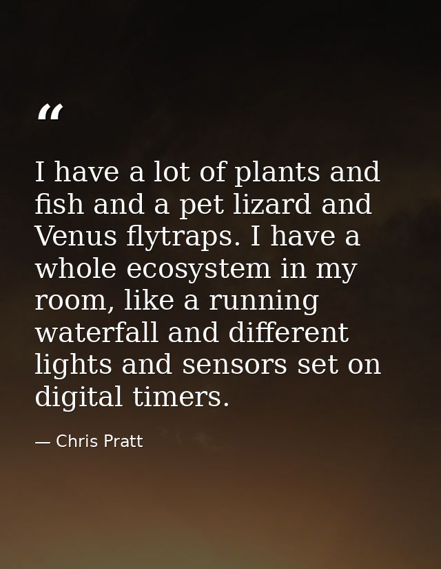 I have a lot of plants and fish and a pet lizard and Venus flytraps. I have a whole ecosystem in my room, like a running — Chris Pratt