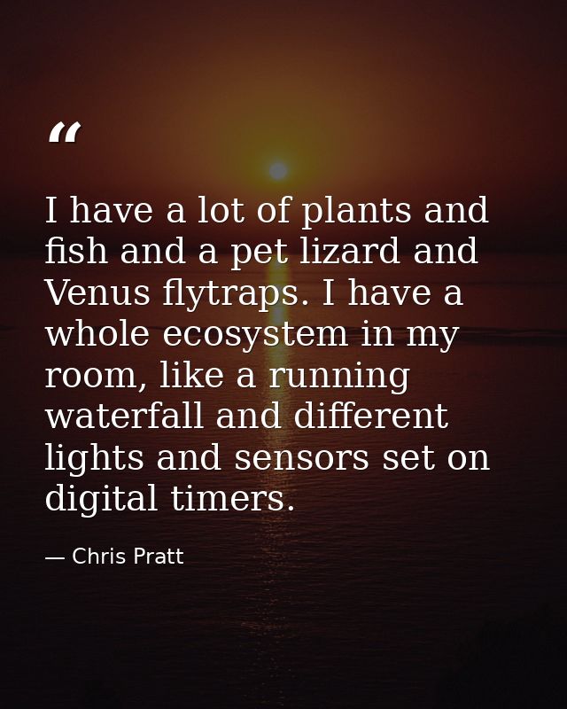 I have a lot of plants and fish and a pet lizard and Venus flytraps. I have a whole ecosystem in my room, like a running — Chris Pratt