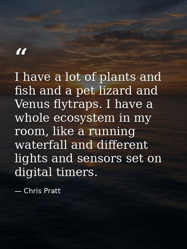 I have a lot of plants and fish and a pet lizard and Venus flytraps. I have a whole ecosystem in my room, like a running — Chris Pratt
