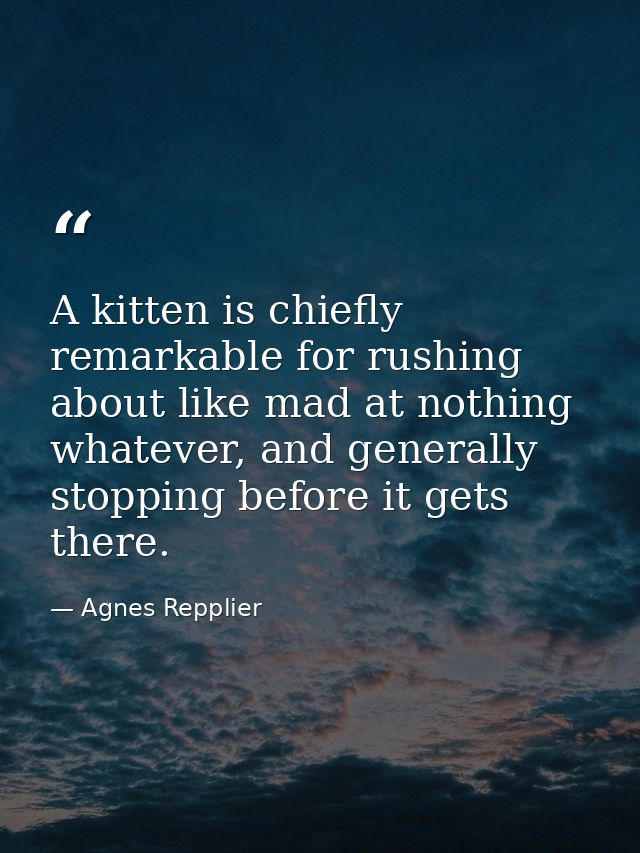 A kitten is chiefly remarkable for rushing about like mad at nothing whatever, and generally stopping before it gets the — Agnes Repplier
