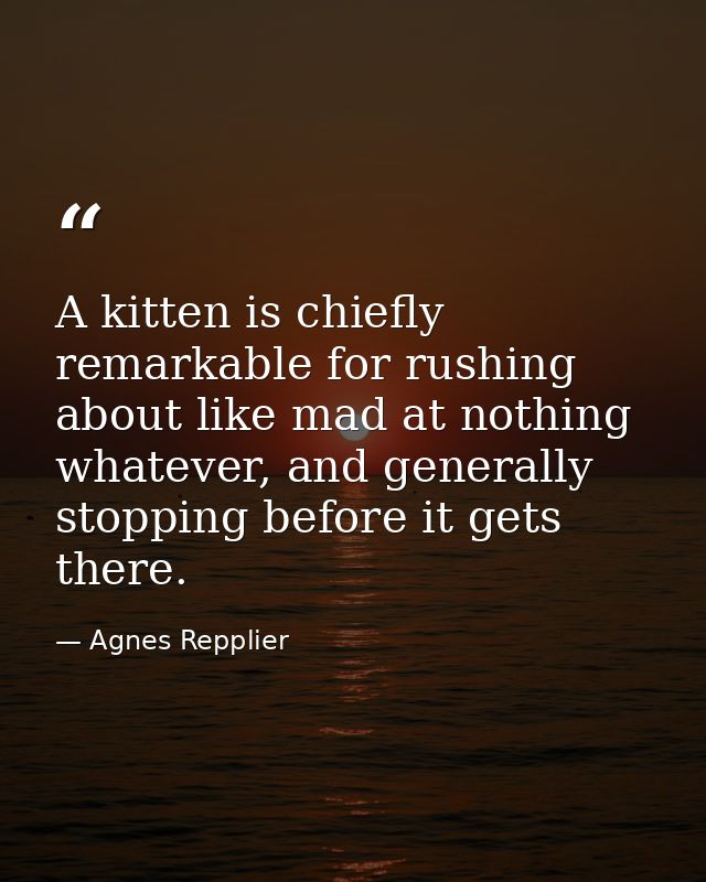 A kitten is chiefly remarkable for rushing about like mad at nothing whatever, and generally stopping before it gets the — Agnes Repplier