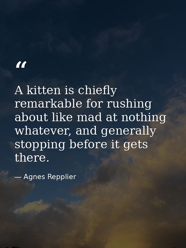 A kitten is chiefly remarkable for rushing about like mad at nothing whatever, and generally stopping before it gets the — Agnes Repplier