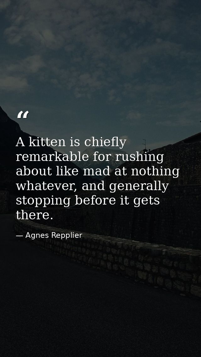 A kitten is chiefly remarkable for rushing about like mad at nothing whatever, and generally stopping before it gets the — Agnes Repplier