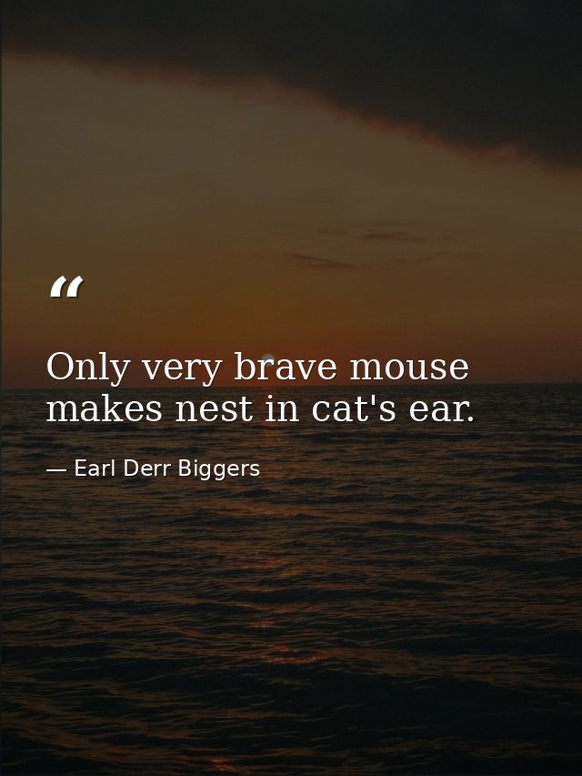Only very brave mouse makes nest in cat's ear. — Earl Derr Biggers
