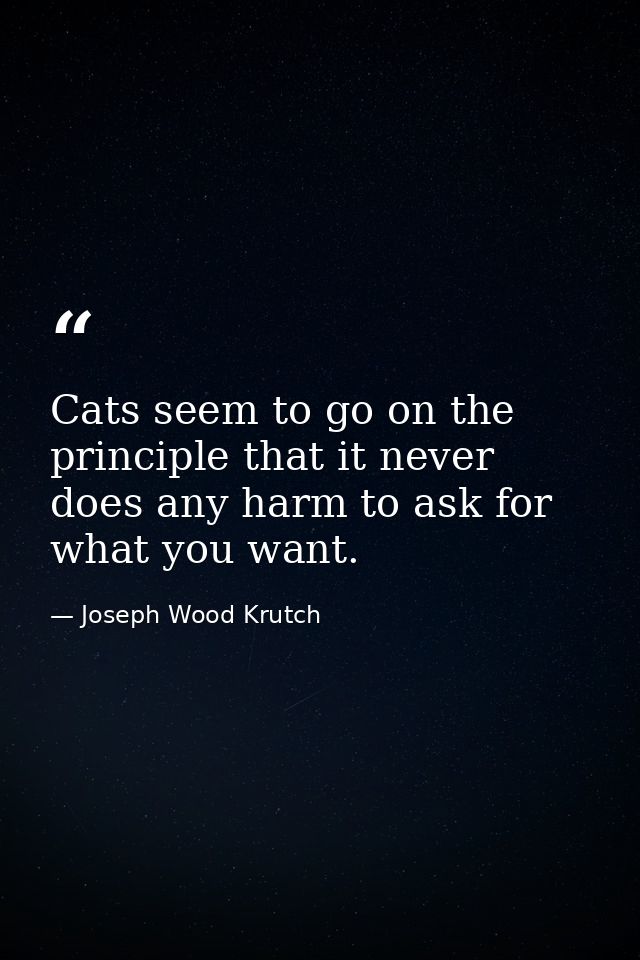 Cats seem to go on the principle that it never does any harm to ask for what you want. — Joseph Wood Krutch