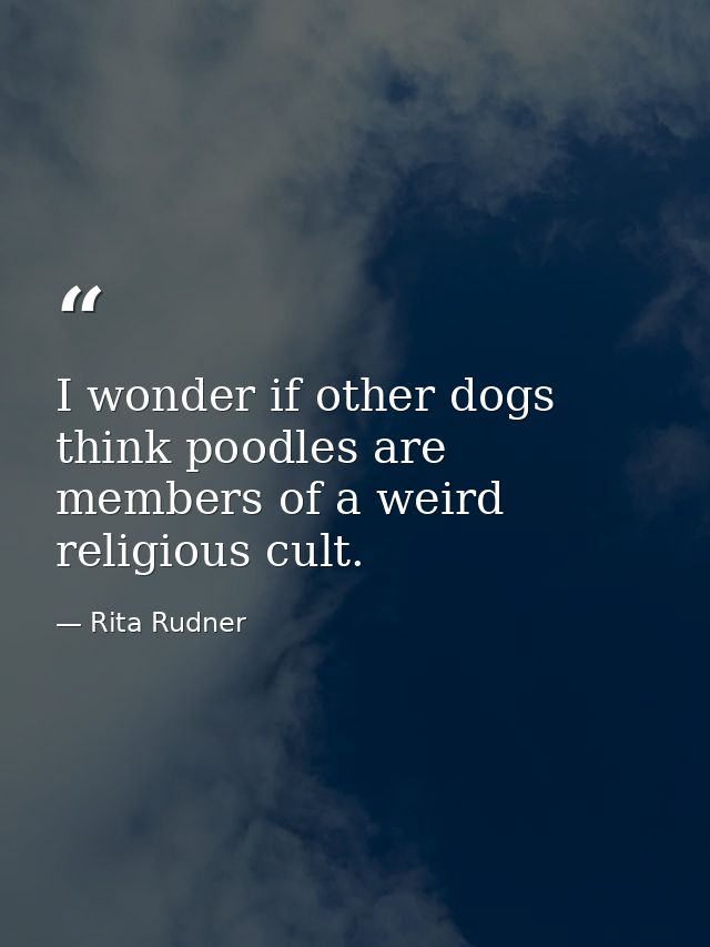 I wonder if other dogs think poodles are members of a weird religious cult. — Rita Rudner