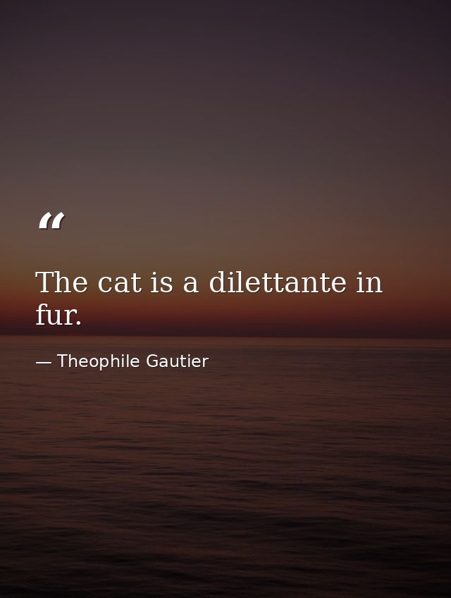 The cat is a dilettante in fur. — Theophile Gautier
