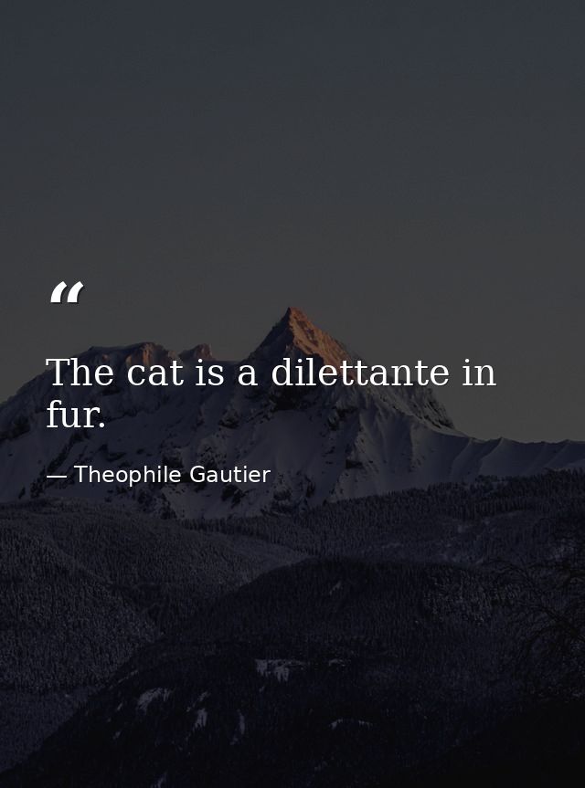 The cat is a dilettante in fur. — Theophile Gautier