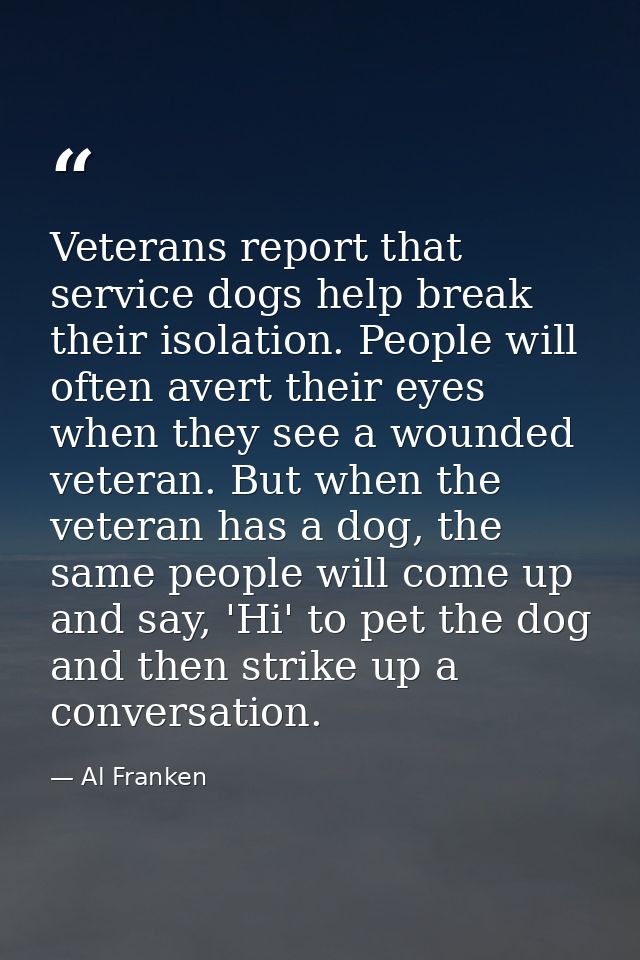 Veterans report that service dogs help break their isolation. People will often avert their eyes when they see a wounded — Al Franken