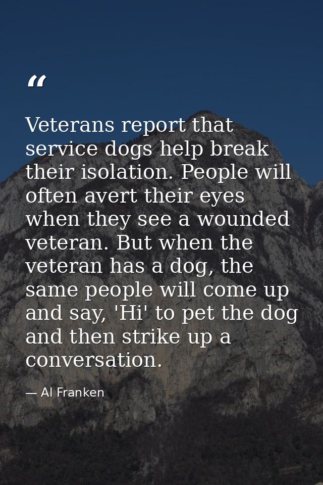 Veterans report that service dogs help break their isolation. People will often avert their eyes when they see a wounded — Al Franken