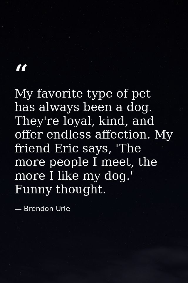 My favorite type of pet has always been a dog. They're loyal, kind, and offer endless affection. My friend Eric says, 'T — Brendon Urie