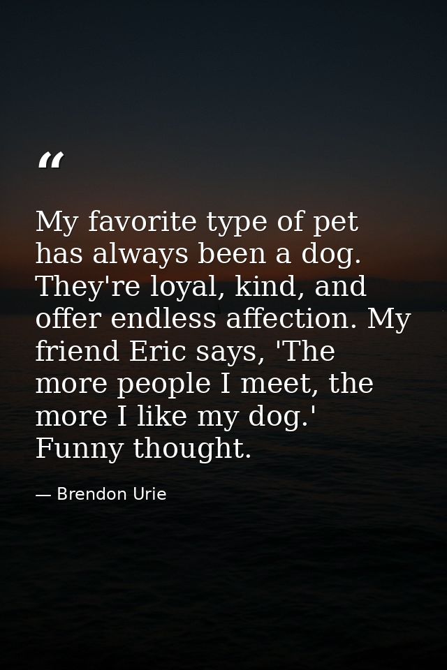 My favorite type of pet has always been a dog. They're loyal, kind, and offer endless affection. My friend Eric says, 'T — Brendon Urie