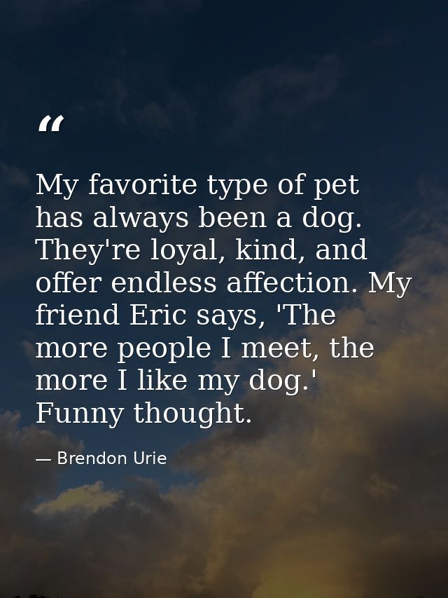 My favorite type of pet has always been a dog. They're loyal, kind, and offer endless affection. My friend Eric says, 'T — Brendon Urie