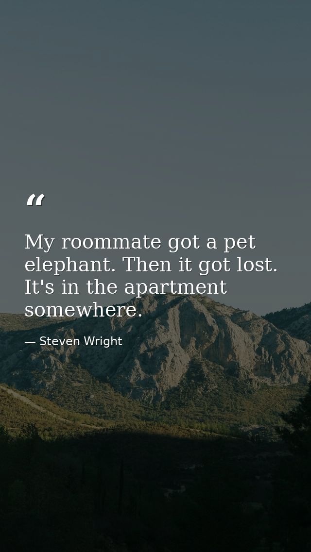 My roommate got a pet elephant. Then it got lost. It's in the apartment somewhere. — Steven Wright