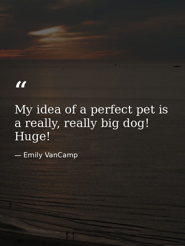 My idea of a perfect pet is a really, really big dog! Huge! — Emily VanCamp