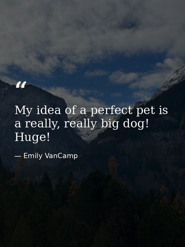 My idea of a perfect pet is a really, really big dog! Huge! — Emily VanCamp