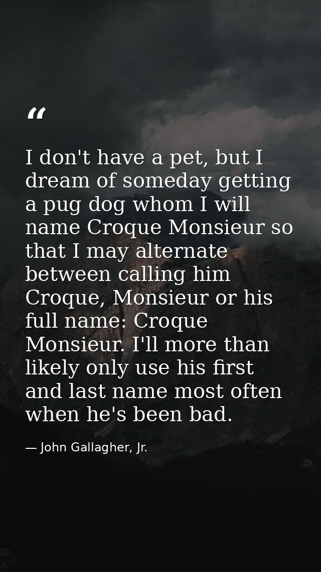 I don't have a pet, but I dream of someday getting a pug dog whom I will name Croque Monsieur so that I may alternate be — John Gallagher, Jr.