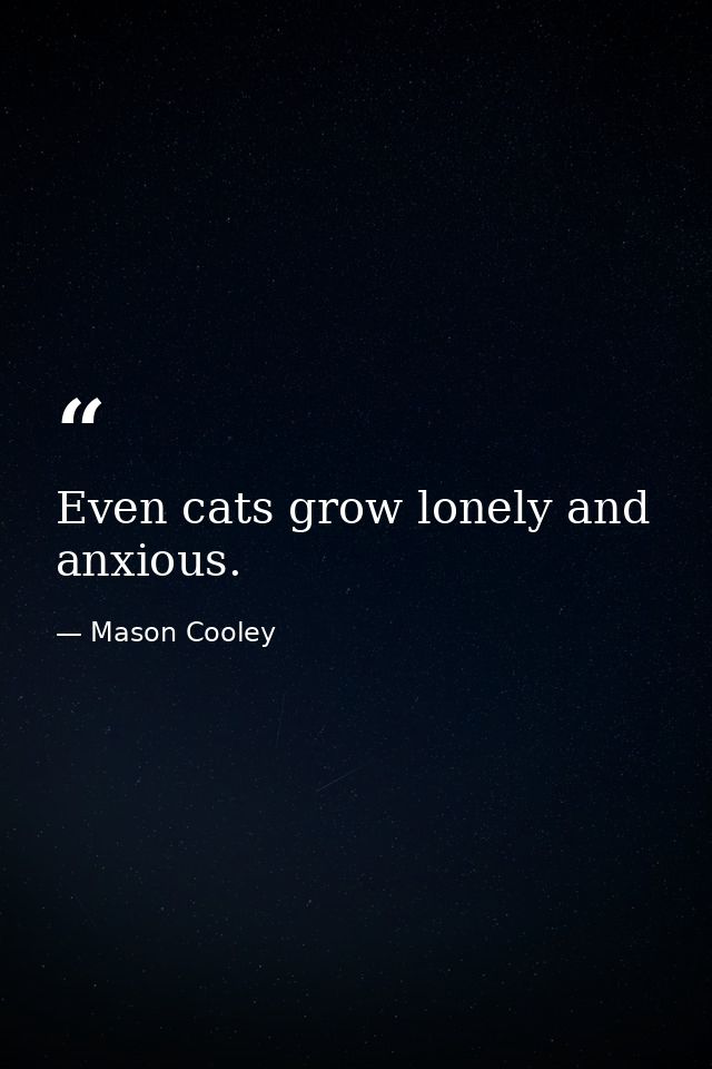 Even cats grow lonely and anxious. — Mason Cooley