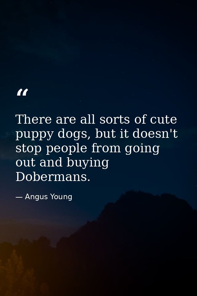 There are all sorts of cute puppy dogs, but it doesn't stop people from going out and buying Dobermans. — Angus Young
