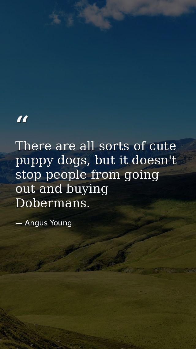 There are all sorts of cute puppy dogs, but it doesn't stop people from going out and buying Dobermans. — Angus Young