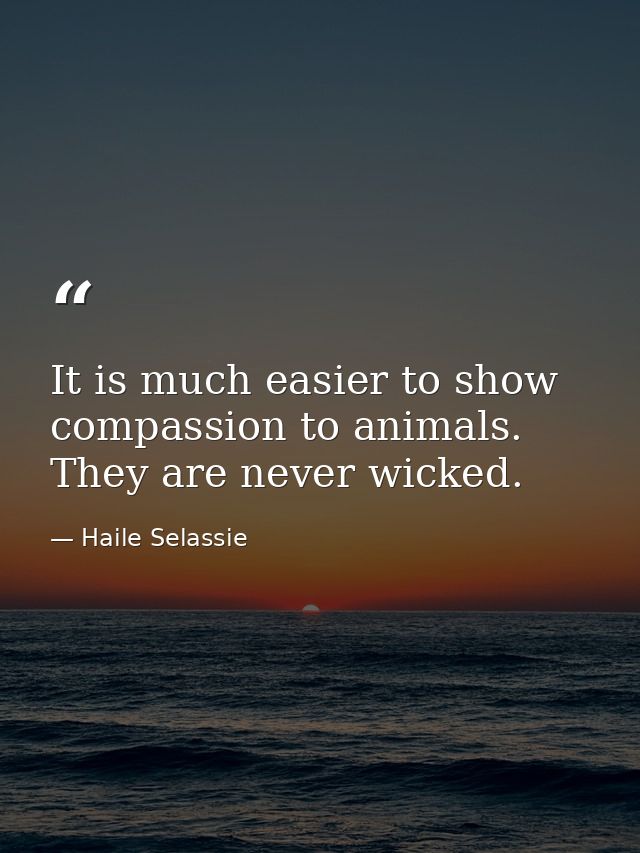 It is much easier to show compassion to animals. They are never wicked. — Haile Selassie