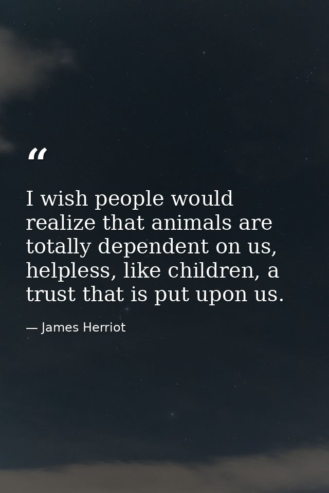 I wish people would realize that animals are totally dependent on us, helpless, like children, a trust that is put upon  — James Herriot