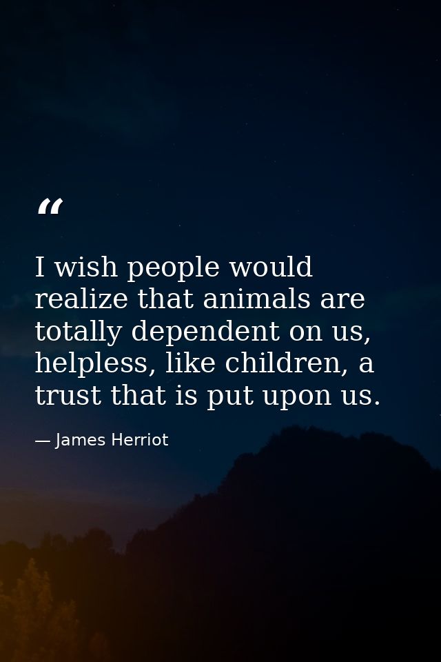 I wish people would realize that animals are totally dependent on us, helpless, like children, a trust that is put upon  — James Herriot