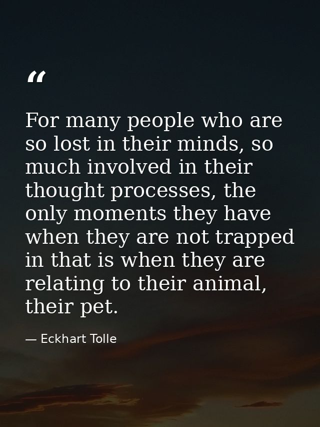For many people who are so lost in their minds, so much involved in their thought processes, the only moments they have  — Eckhart Tolle