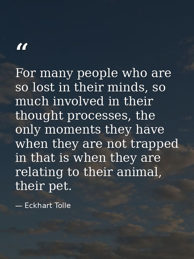 For many people who are so lost in their minds, so much involved in their thought processes, the only moments they have  — Eckhart Tolle