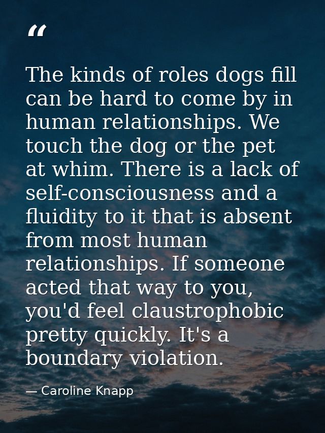 The kinds of roles dogs fill can be hard to come by in human relationships. We touch the dog or the pet at whim. There i — Caroline Knapp