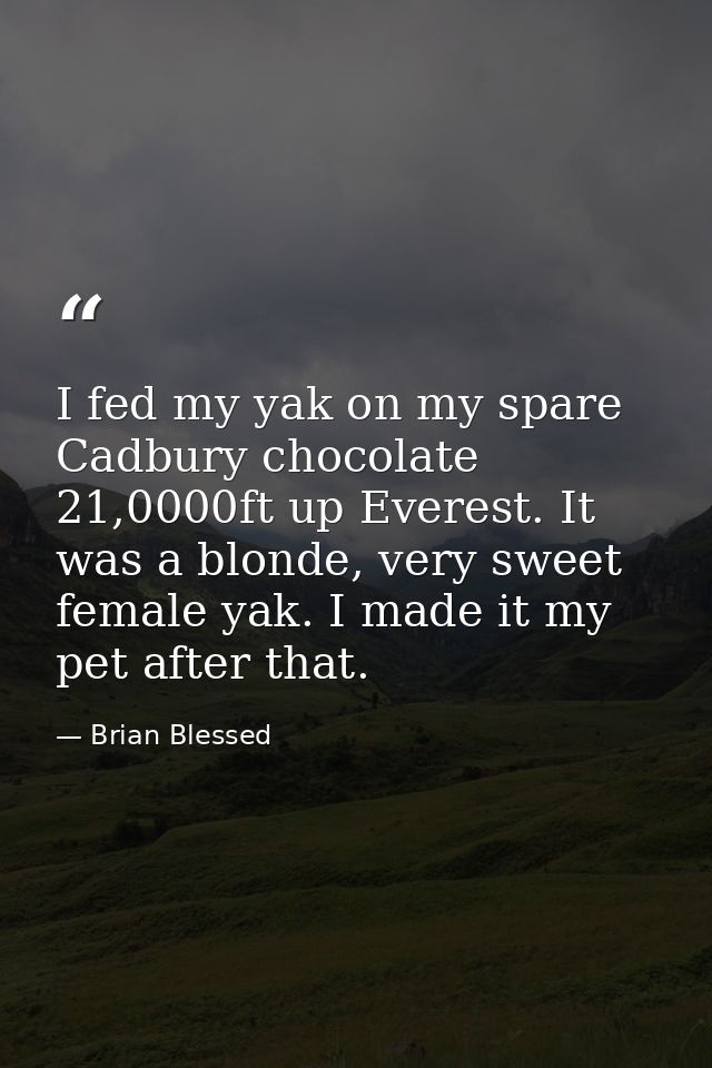 I fed my yak on my spare Cadbury chocolate 21,0000ft up Everest. It was a blonde, very sweet female yak. I made it my pe — Brian Blessed